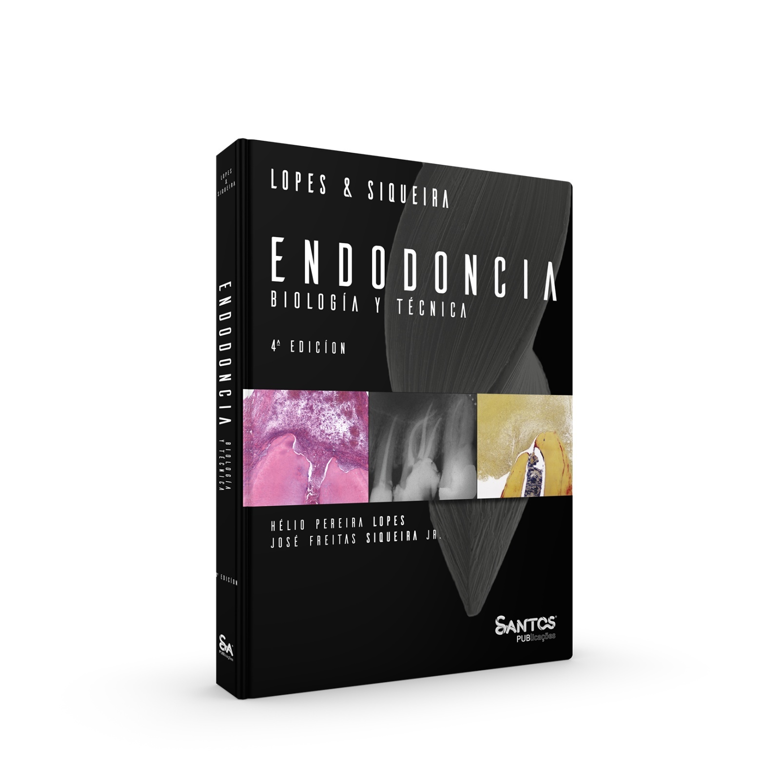 Endodoncia Biología Y Técnica