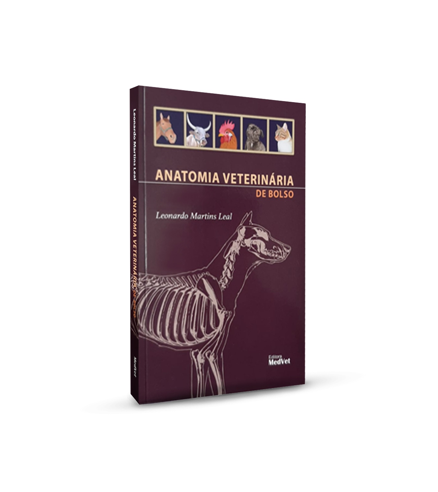 Anatomia Veterinária De Bolso