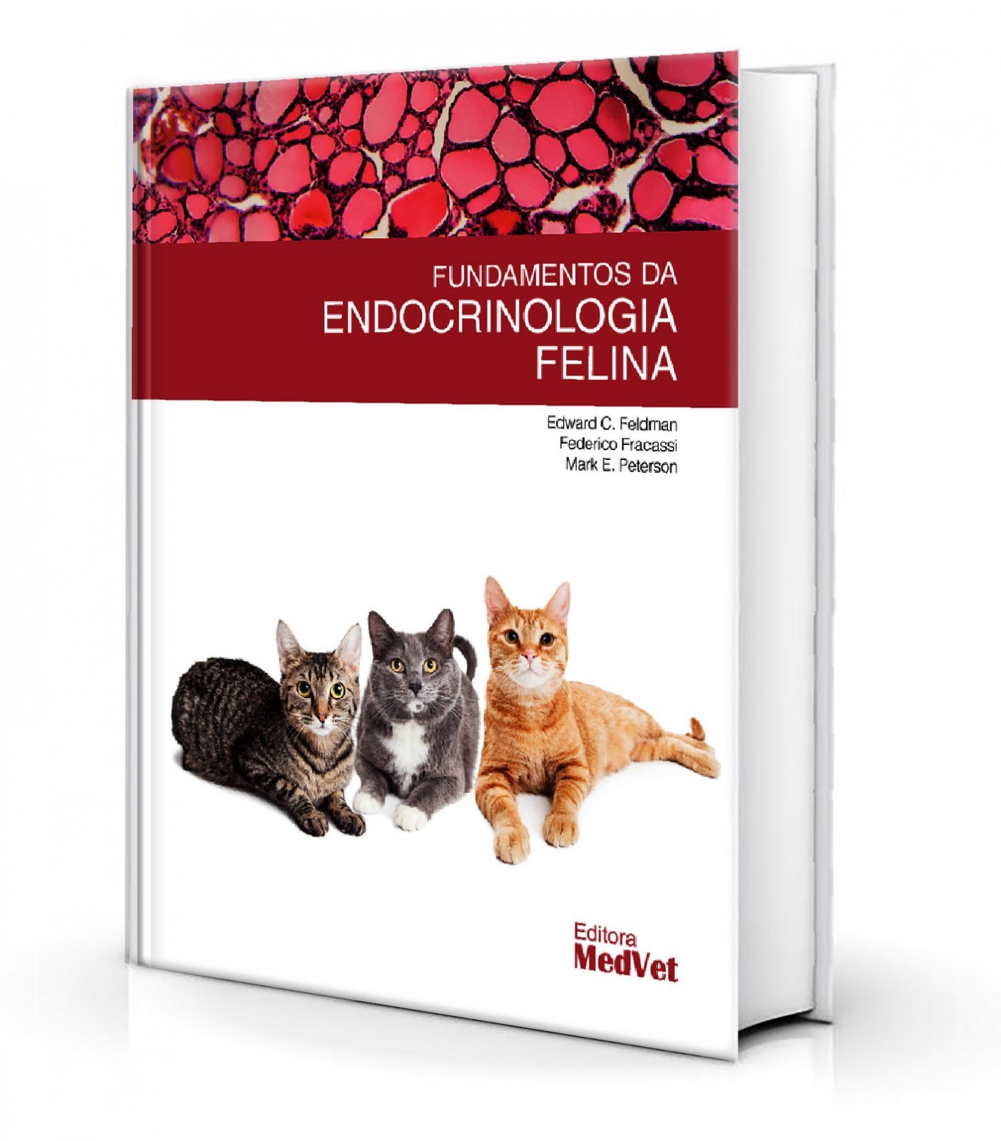 Fundamentos Da Endocrinologia Felina