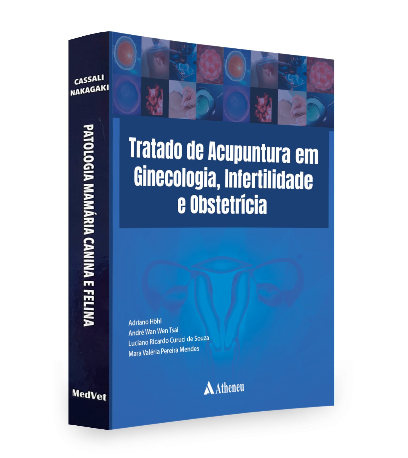 Tratado De Acupuntura Em Ginecologia, Infertilidade E Obstetrícia