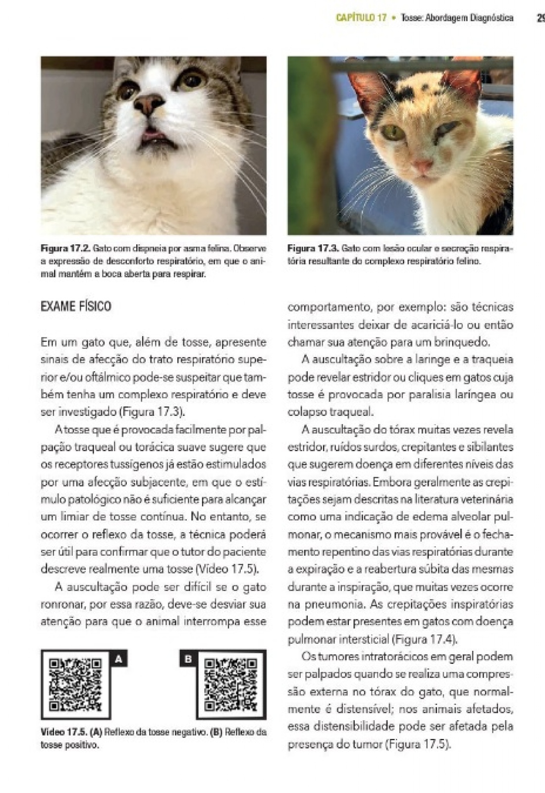 Manual Prático De Medicina Felina Volume Ii