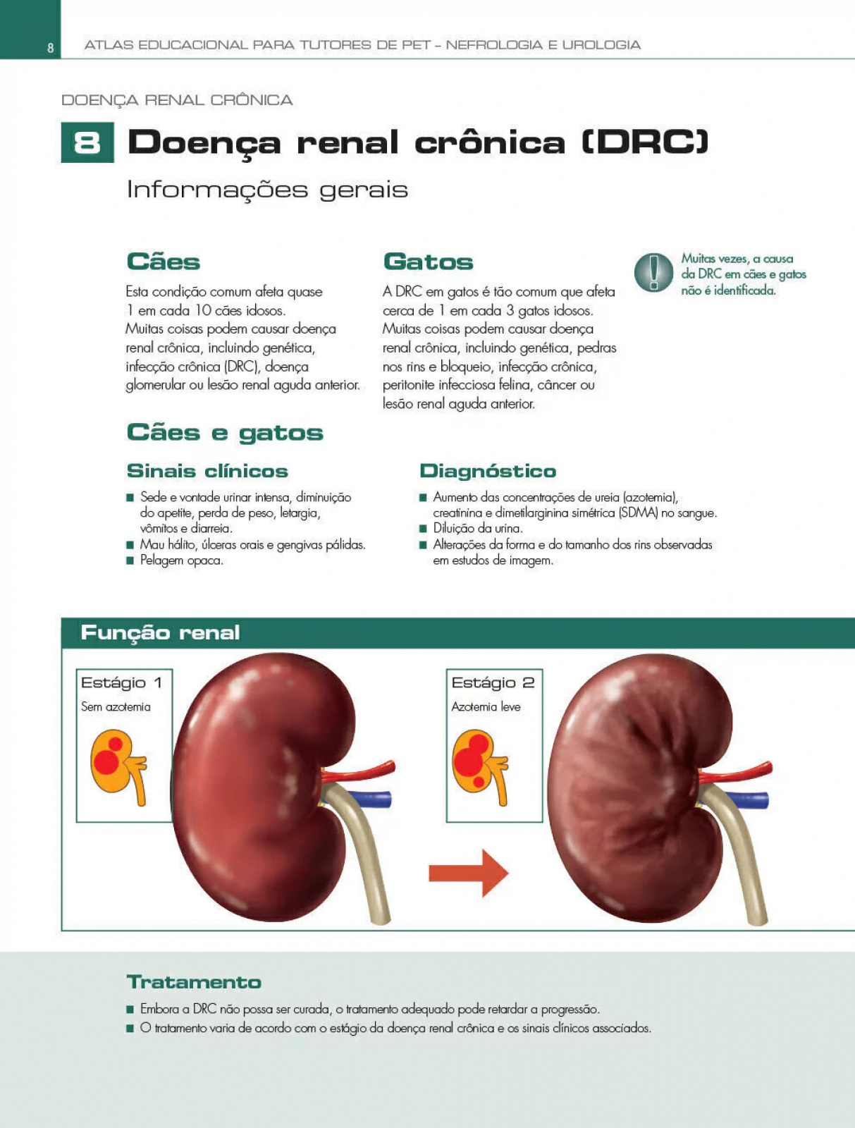 Atlas Educacional Para Tutores De Pet Nefrologia E Urologia