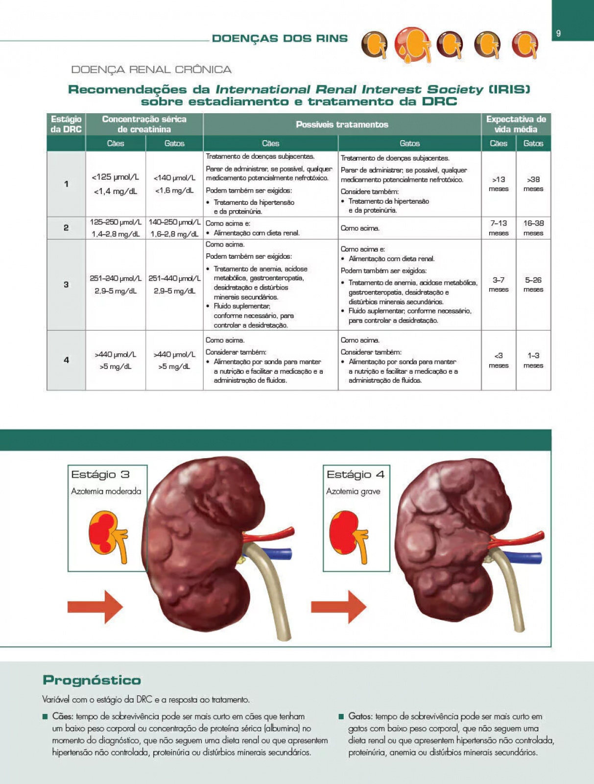 Atlas Educacional Para Tutores De Pet Nefrologia E Urologia