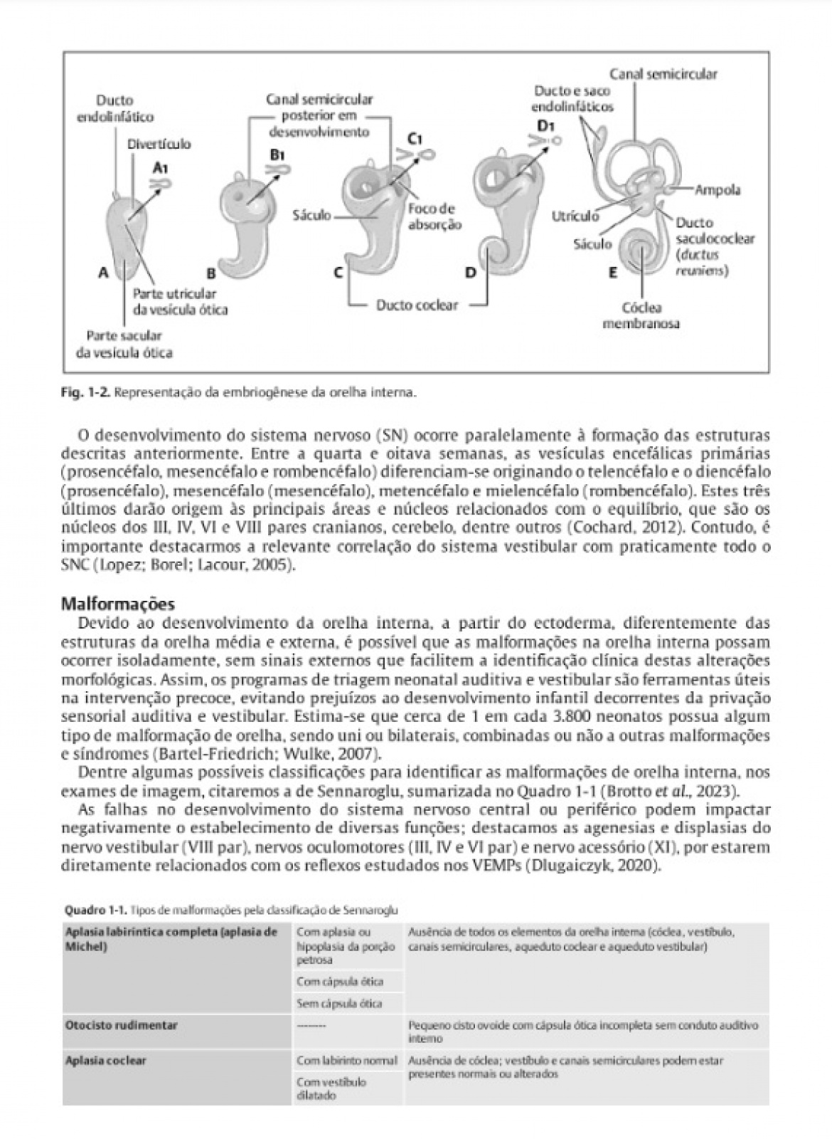 Vemps – Tratado Para Atuação Otoneurológica