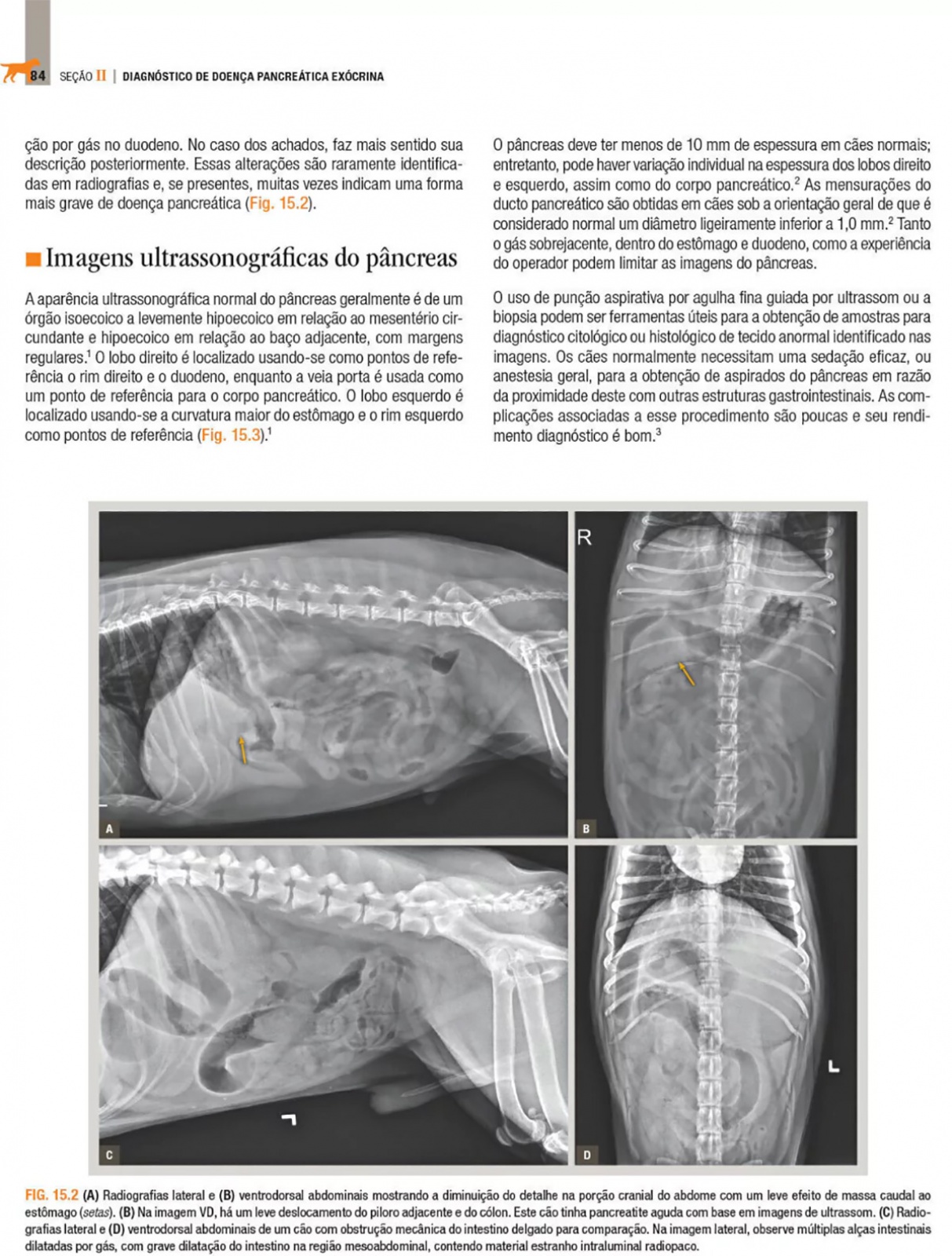 Doenças Do Sistema Hepatobiliar E Do Pâncreas Exócrino Do Cão