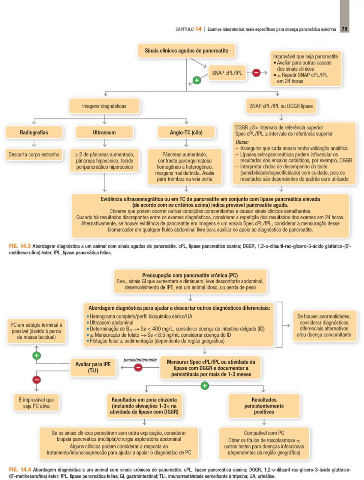 Doenças Do Sistema Hepatobiliar E Do Pâncreas Exócrino Do Cão